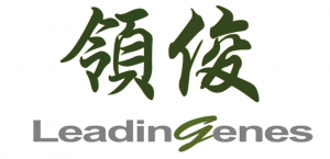 Leadingenes Limited Logo